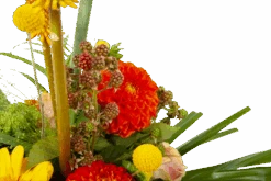 Boeket Beatrix Groot -Gardena Winkel boeket beatrix boeketten 3 3