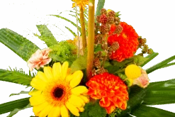 Boeket Beatrix Middel 9 Boeket Beatrix Middel -Gardena Winkel boeket beatrix boeketten 4 3 1