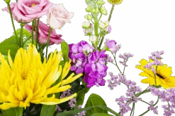 Boeket Eline Klein -Gardena Winkel boeket eline boeketten 3