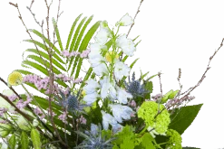 Boeket Erica Middel -Gardena Winkel boeket erica boeketten 3 1