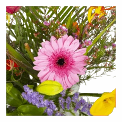 Boeket Heerlijke Lente Deluxe Groot -Gardena Winkel boeket heerlijke lente deluxe boeketten 3 2