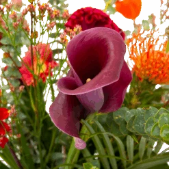 Boeket Herfst Warmte Groot 9 Boeket Herfst Warmte Groot -Gardena Winkel boeket herfst warmte groot boeketten 4