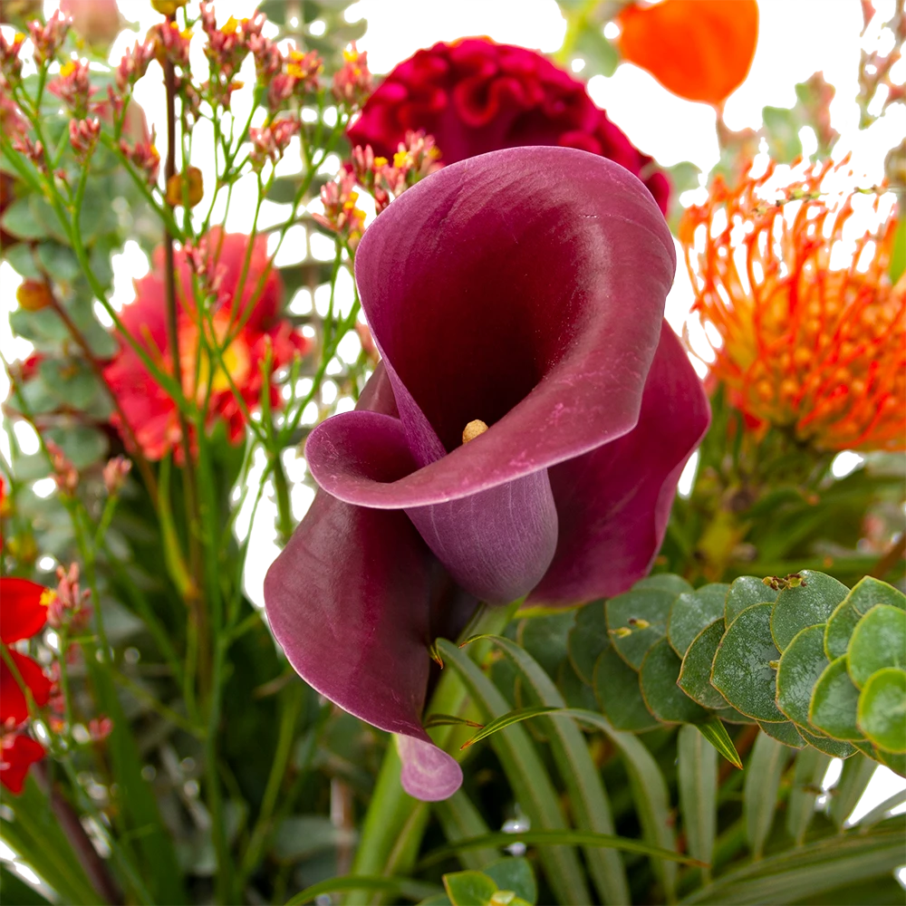 Boeket Herfst Warmte Groot 4 Boeket Herfst Warmte Groot - Afbeelding 4