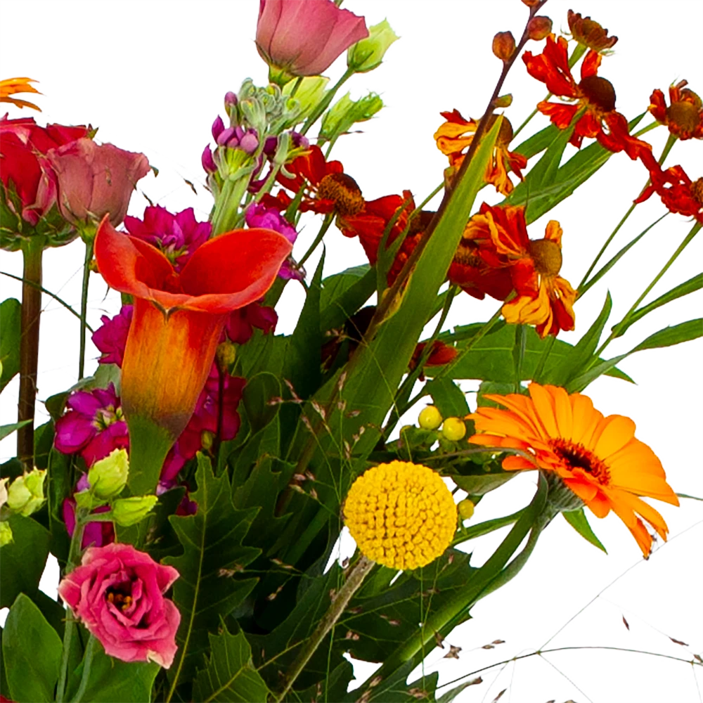 Boeket Hippe Herfst Klein 4 Boeket Hippe Herfst Klein - Afbeelding 4