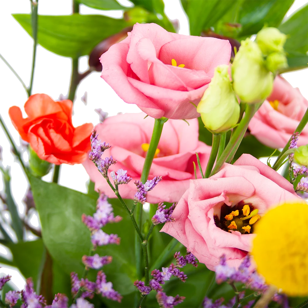 Boeket Kleurrijk Geplukt Groot 3 Boeket Kleurrijk Geplukt Groot - Afbeelding 3