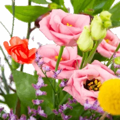 Boeket Kleurrijk Geplukt Klein 7 Boeket Kleurrijk Geplukt Klein -Gardena Winkel boeket kleurrijk geplukt boeketten 3