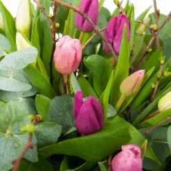 Boeket Kleurrijke Tulp Klein 7 Boeket Kleurrijke Tulp Klein -Gardena Winkel boeket kleurrijke tulp boeketten 3 1