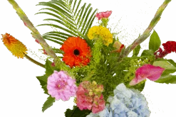 Boeket Lach Middel -Gardena Winkel boeket lach boeketten 3 1 1