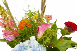 Boeket Lach Middel -Gardena Winkel boeket lach boeketten 4 1 1