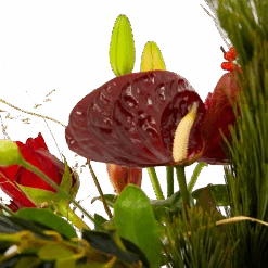 Boeket Liefdevolle Kerst Middel 9 Boeket Liefdevolle Kerst Middel -Gardena Winkel boeket liefdevolle kerst boeketten 4 1 1