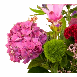 Boeket Paarse Passie Klein 8 Boeket Paarse Passie Klein -Gardena Winkel boeket paarse passie klein boeketten 3