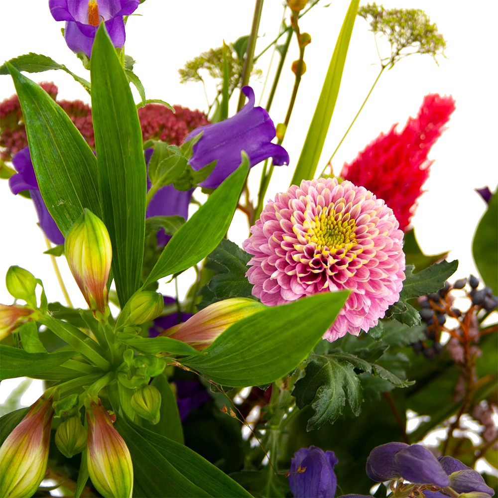 Boeket Paarse Passie Middel 4 Boeket Paarse Passie Middel - Afbeelding 4