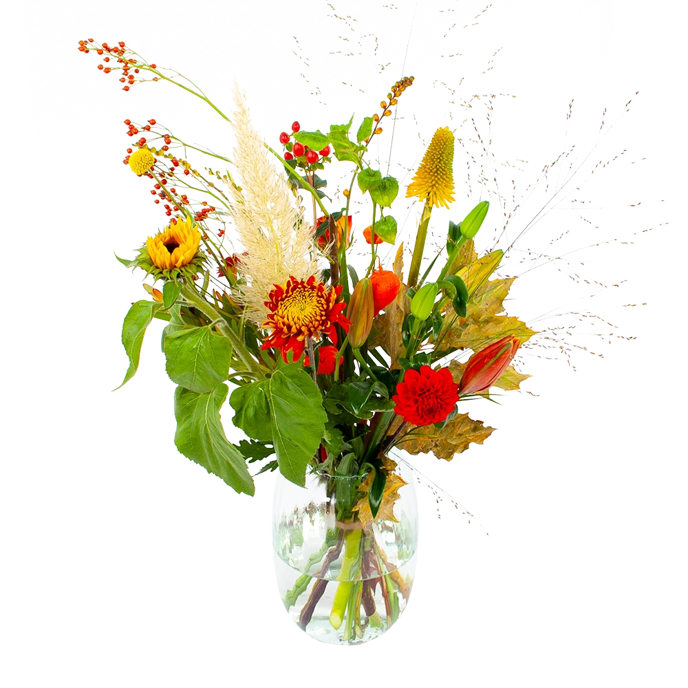 Boeket Pluim Van Het Najaar Groot 1 Boeket Pluim Van Het Najaar Groot