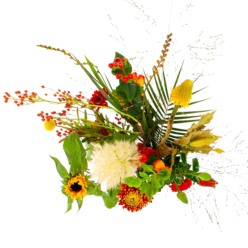 Boeket Pluim Van Het Najaar Groot 2 Boeket Pluim Van Het Najaar Groot - Afbeelding 2