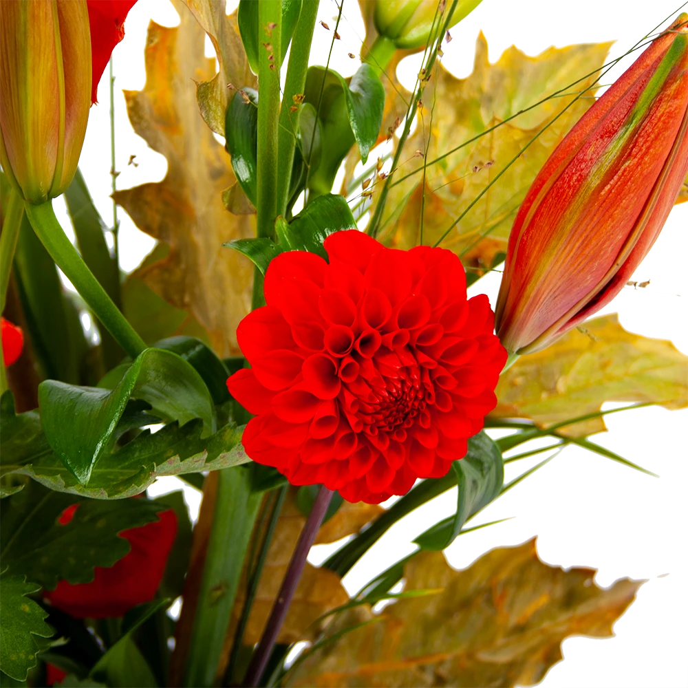 Boeket Pluim Van Het Najaar Groot 3 Boeket Pluim Van Het Najaar Groot - Afbeelding 3