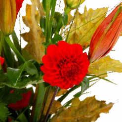 Boeket Pluim Van Het Najaar Middel -Gardena Winkel boeket pluim van het najaar middel boeketten 3