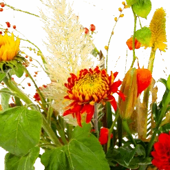 Boeket Pluim Van Het Najaar Middel -Gardena Winkel boeket pluim van het najaar middel boeketten 4