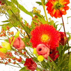 Boeket Plukgeluk Groot -Gardena Winkel boeket plukgeluk groot boeketten 3