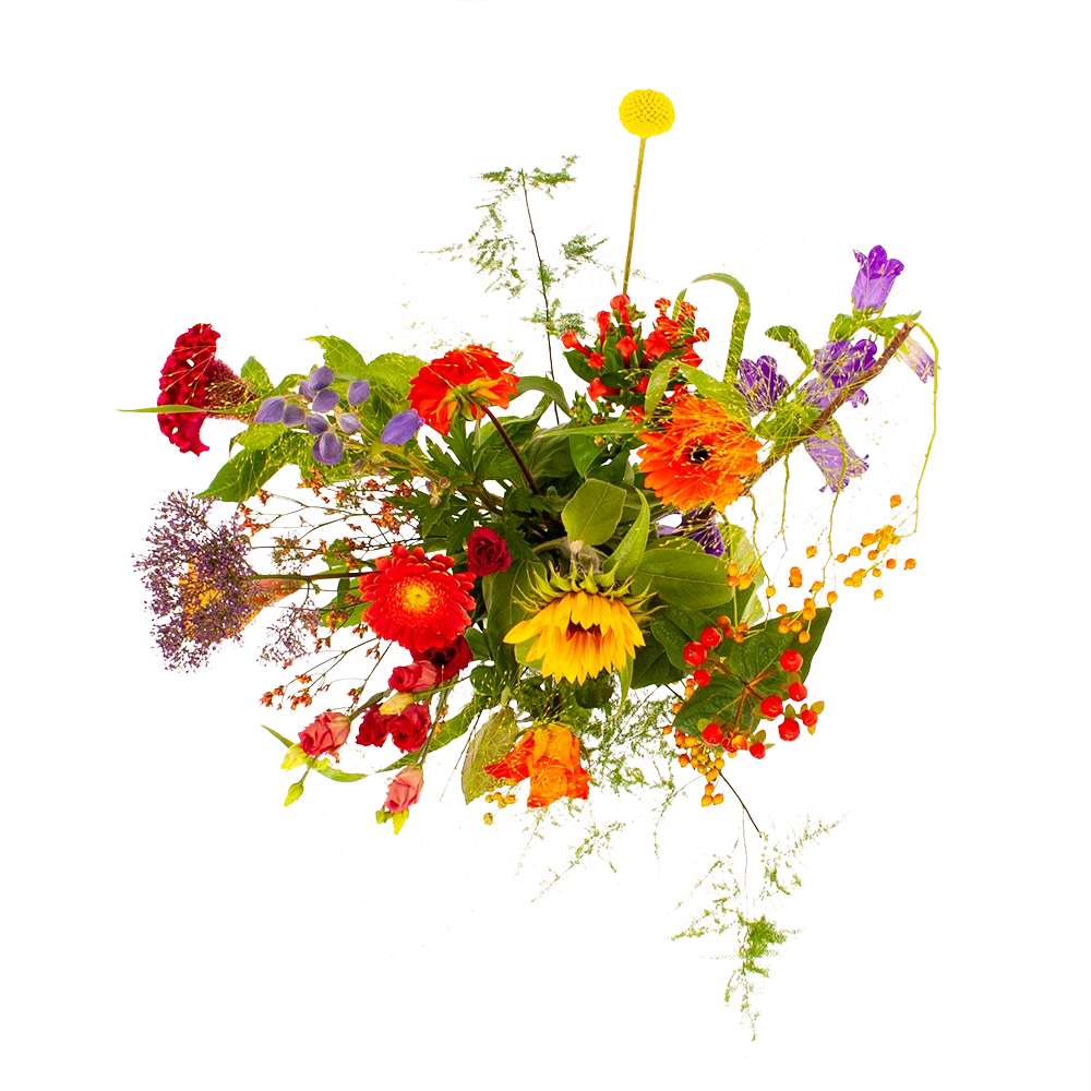 Boeket Plukgeluk Klein 2 Boeket Plukgeluk Klein - Afbeelding 2