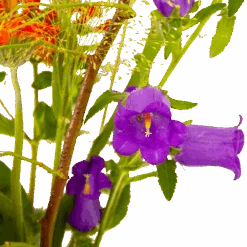 Boeket Plukgeluk Klein 9 Boeket Plukgeluk Klein -Gardena Winkel boeket plukgeluk klein boeketten 4