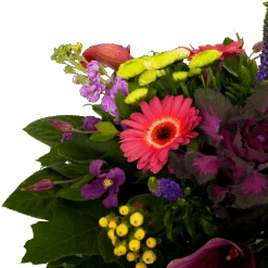 Boeket Purple Groot -Gardena Winkel boeket purple groot boeketten 3 1