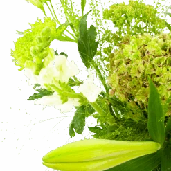 Boeket Puur Natuur Groot -Gardena Winkel boeket puur natuur boeketten 3 1 2