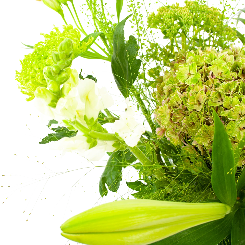 Boeket Puur Natuur Middel 3 Boeket Puur Natuur Middel - Afbeelding 3