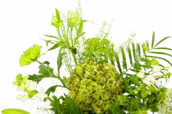 Boeket Puur Natuur Middel 9 Boeket Puur Natuur Middel -Gardena Winkel boeket puur natuur boeketten 4 1