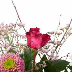 Boeket Roze Verrassing Middel -Gardena Winkel boeket roze verrassing boeketten 3 2