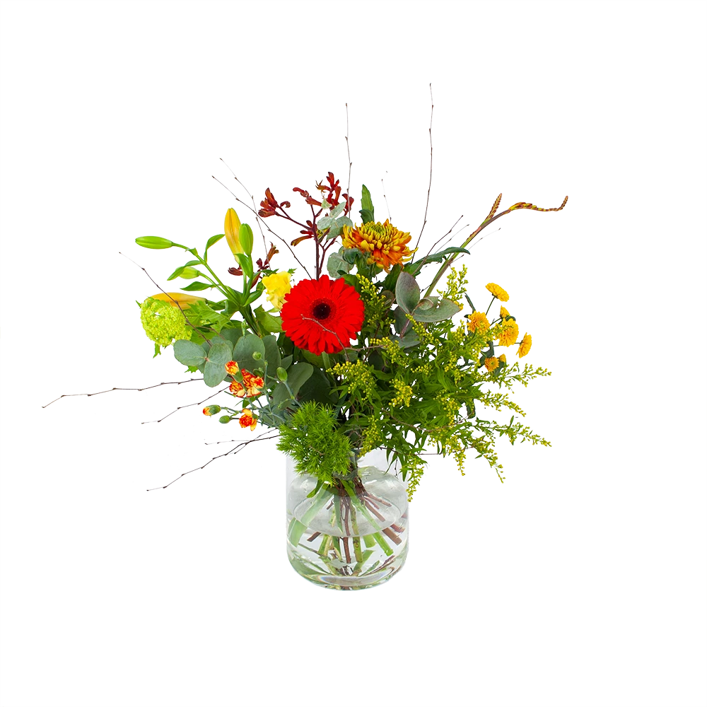 Boeket Speciale Verrassing Groot 1 Boeket Speciale Verrassing Groot