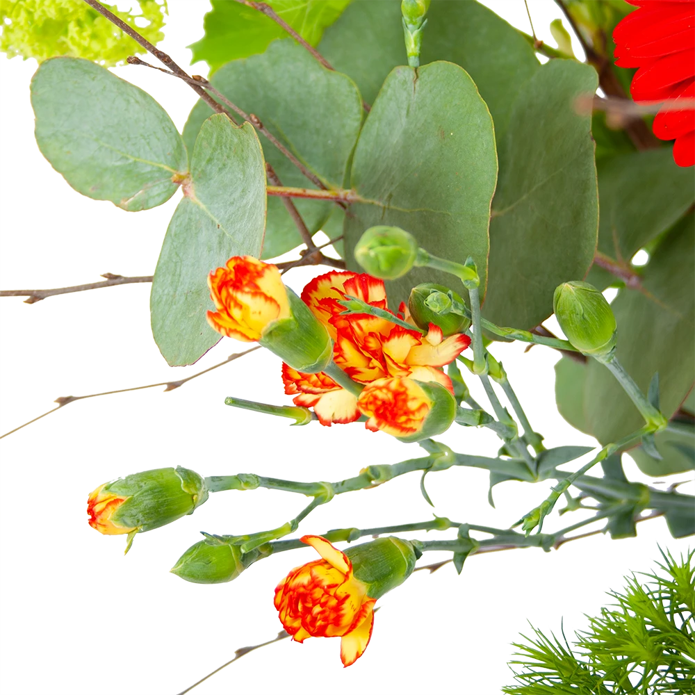 Boeket Speciale Verrassing Groot 2 Boeket Speciale Verrassing Groot - Afbeelding 2