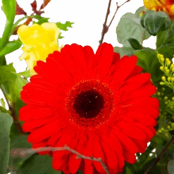 Boeket Speciale Verrassing Groot 7 Boeket Speciale Verrassing Groot -Gardena Winkel boeket speciale verrassing boeketten 3 1