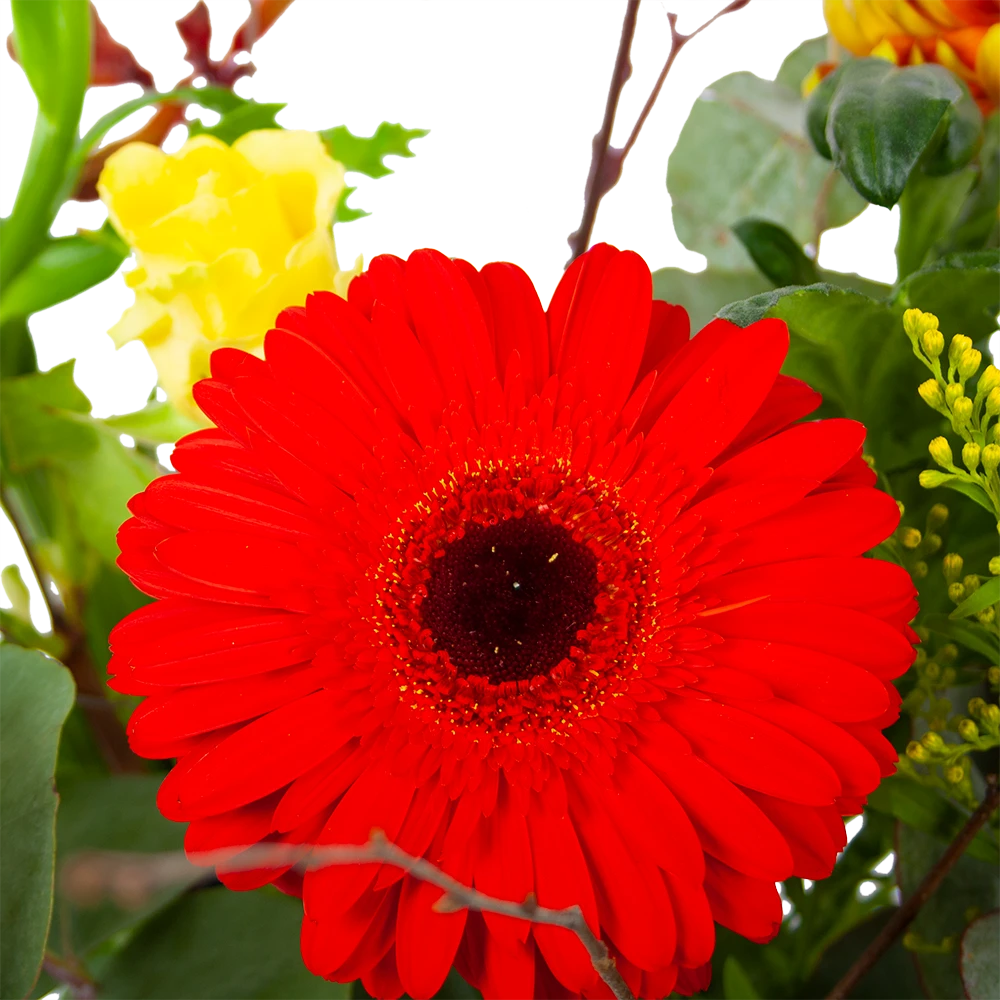 Boeket Speciale Verrassing Groot 3 Boeket Speciale Verrassing Groot - Afbeelding 3