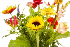 Boeket Vlinder Groot -Gardena Winkel boeket vlinder boeketten 3 3 1