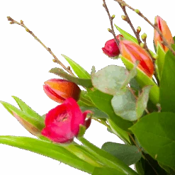 Boeket Vrolijk Roze Middel 7 Boeket Vrolijk Roze Middel -Gardena Winkel boeket vrolijk roze boeketten 3 1