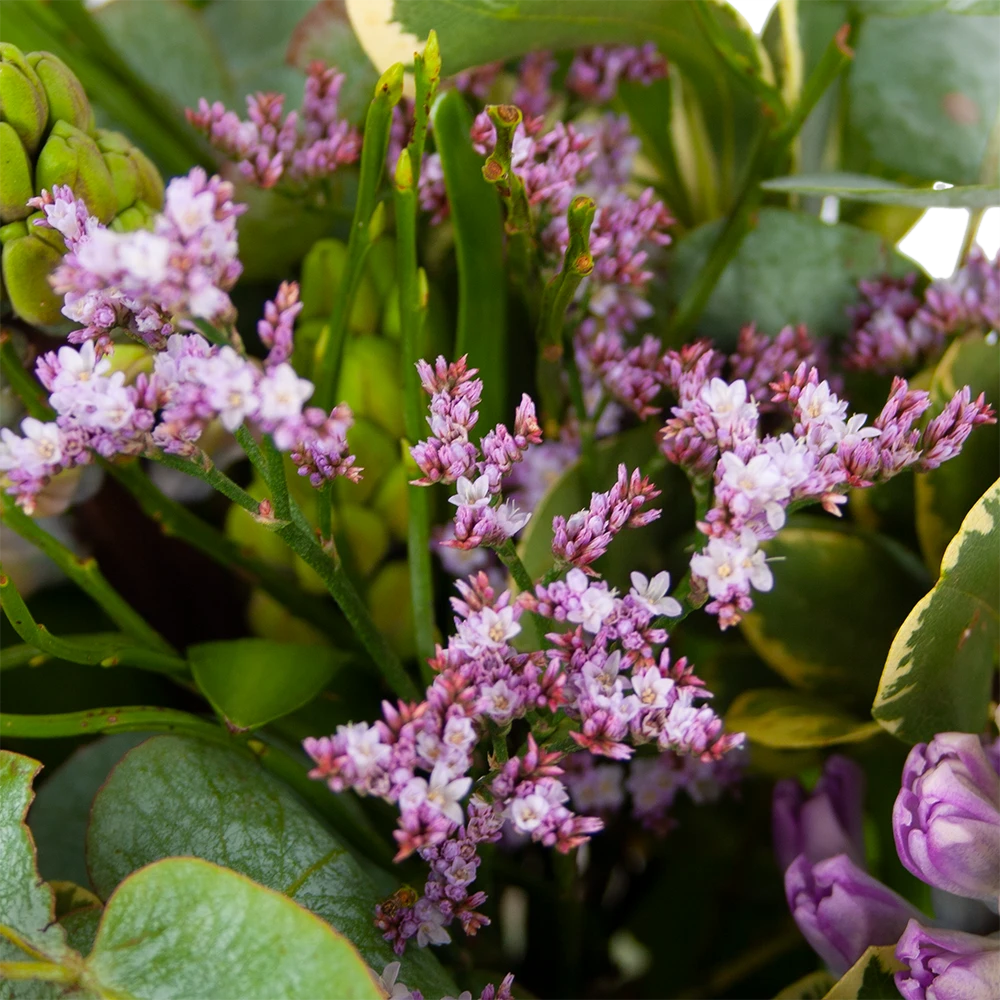 Boeket Vrolijk Seizoen Klein 2 Boeket Vrolijk Seizoen Klein - Afbeelding 2