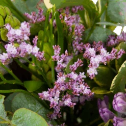 Gardena Winkel -Gardena Winkel boeket vrolijk seizoen boeketten 2 2