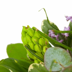 Boeket Vrolijk Seizoen Klein 7 Boeket Vrolijk Seizoen Klein -Gardena Winkel boeket vrolijk seizoen boeketten 3 1