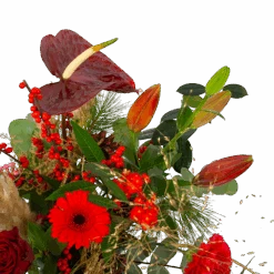 Boeket Winterse Pluim Groot -Gardena Winkel boeket winterse pluim boeketten 3 1 1