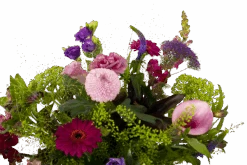 Boeket Zomerbries Groot 8 Boeket Zomerbries Groot -Gardena Winkel boeket zomerbries boeketten 3 5 1