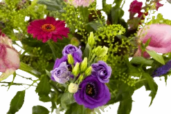 Boeket Zomerbries Klein 9 Boeket Zomerbries Klein -Gardena Winkel boeket zomerbries boeketten 4 5 2