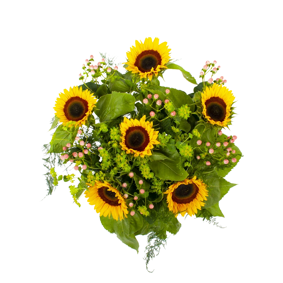 Boeket Zonnestraal Groot 2 Boeket Zonnestraal Groot - Afbeelding 2