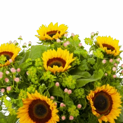 Boeket Zonnestraal Middel -Gardena Winkel boeket zonnestraal boeketten 3 3 2