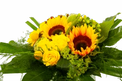 Boeket Zonnetje Groot -Gardena Winkel boeket zonnetje boeketten 3 1 1