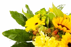 Boeket Zonnetje Klein 9 Boeket Zonnetje Klein -Gardena Winkel boeket zonnetje boeketten 4 1