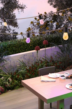 Calex Smart Outdoor Feestverlichting/Partystring - 10M 24V 9 Calex Smart Outdoor Feestverlichting/Partystring - 10M 24V -Gardena Winkel calex smart outdoor feestverlichting partystring 10m 24v 5