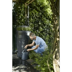 Elho Regenton - Green Basics - 200L - Zwart -Gardena Winkel elho regenton green basics 200l zwart 6 1