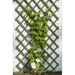 Nature - Houten Klimrek Groen 100x200cm 5 Nature - Houten Klimrek Groen 100x200cm -Gardena Winkel nature houten klimrek groen 100x200cm 3 2