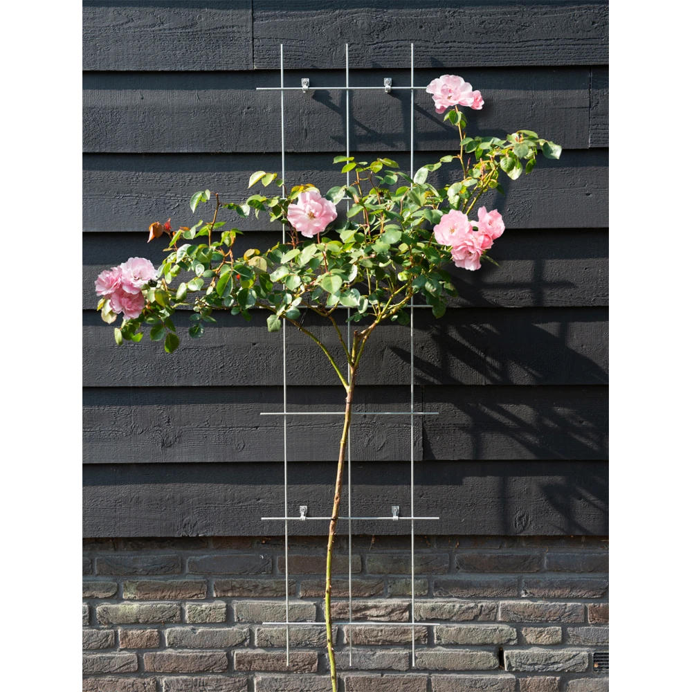 Nature - Metalen Klimrek Geplastificeerd Groen H145x42,5cm 2 Nature - Metalen Klimrek Geplastificeerd Groen H145x42,5cm - Afbeelding 2