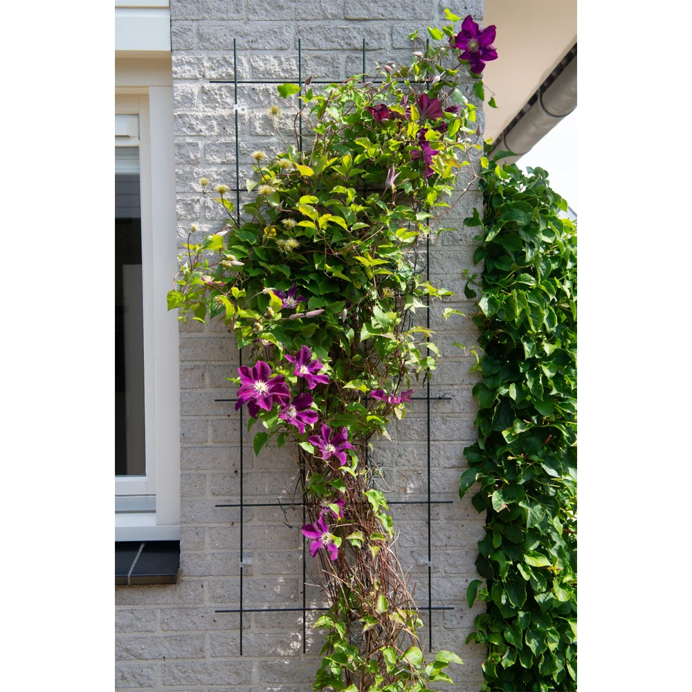 Nature - Metalen Klimrek Geplastificeerd Groen H145x57cm 2 Nature - Metalen Klimrek Geplastificeerd Groen H145x57cm - Afbeelding 2